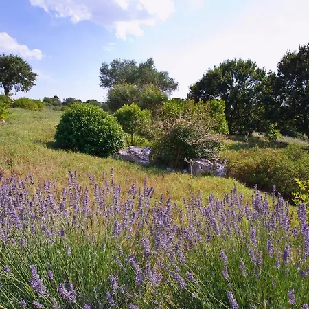 Podere Papilio Country house