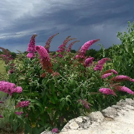 Podere Papilio *
