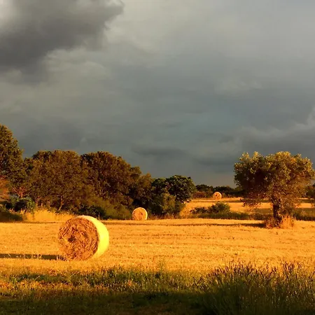 Podere Papilio