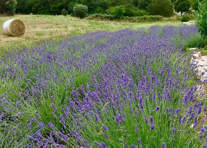 Podere Papilio Alberobello