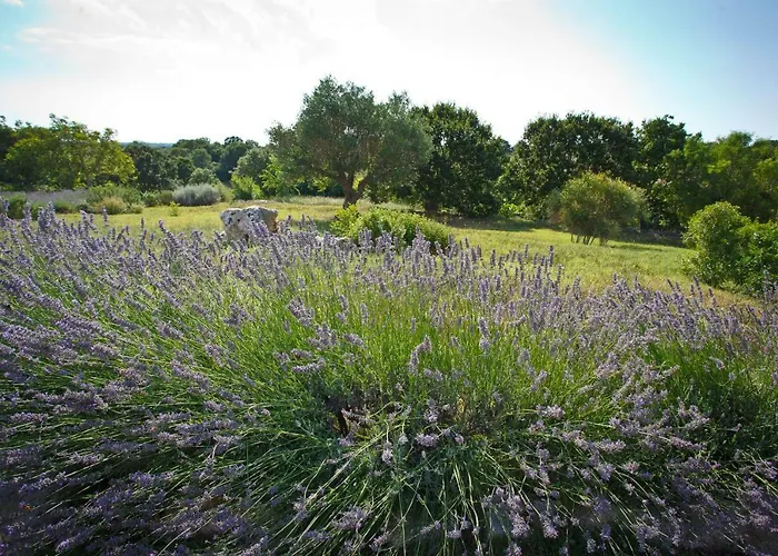 Podere Papilio Country house *