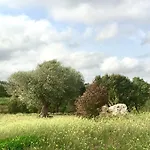 Podere Papilio * Alberobello