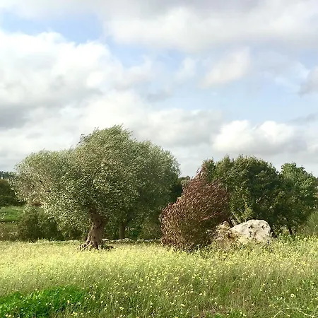 Podere Papilio * Alberobello