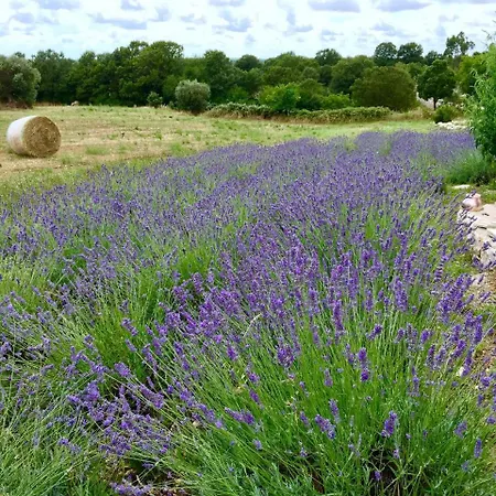 Podere Papilio Alberobello