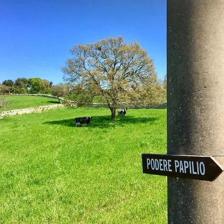 Podere Papilio
