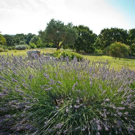 Podere Papilio Country house *