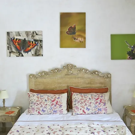 Podere Papilio * Альберобелло