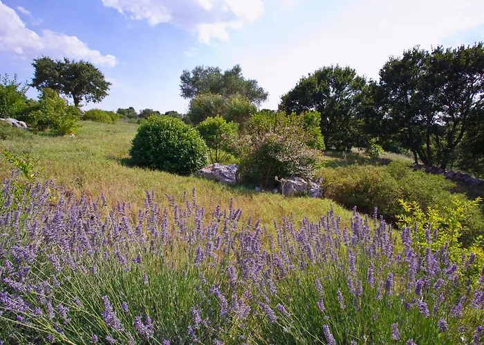 Podere Papilio Landhuis