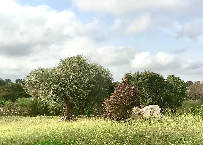 Podere Papilio * ألبيروبيللو